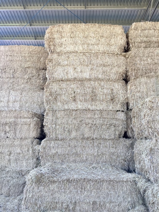 Wheat Hay 8x4x3 Farm Tender